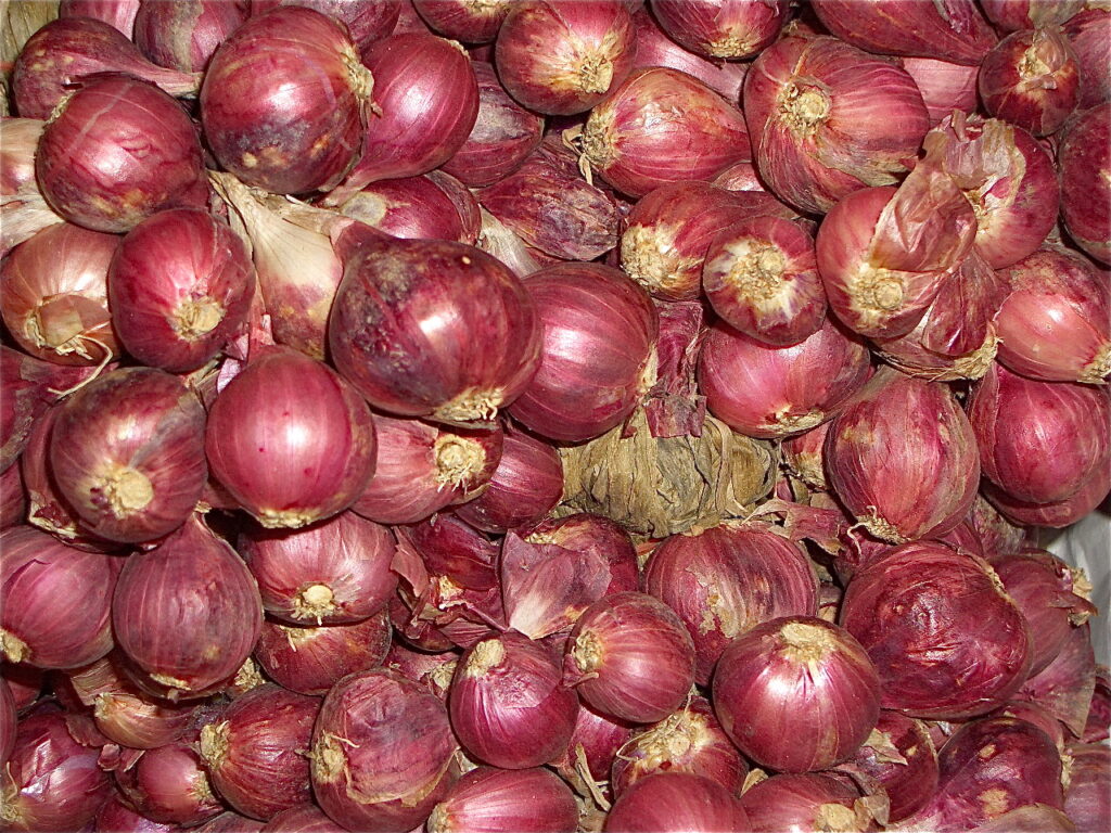 Bawang Merah