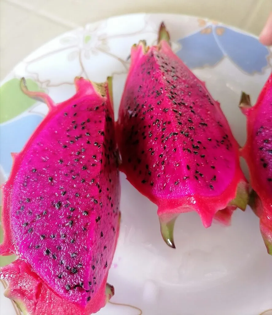 Buah naga merah segar