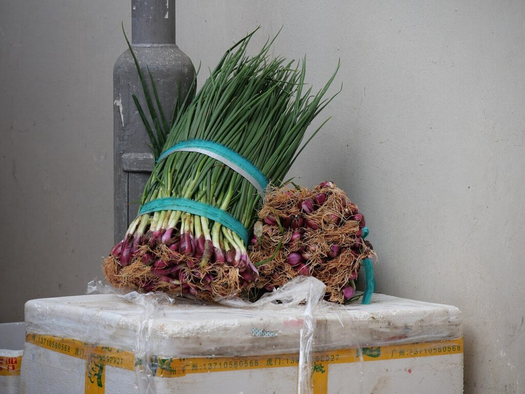 Daun Bawang