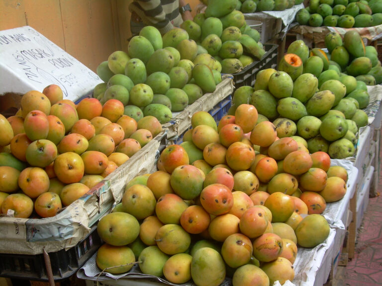 File:Mango from Cirebon.jpg